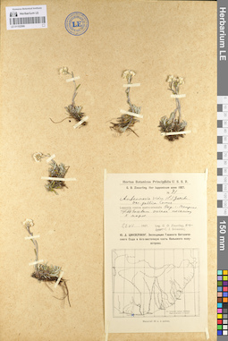 LE 01102566