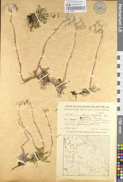 LE 01102568