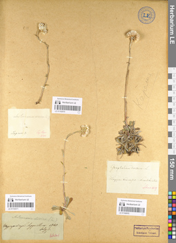 LE 01102572