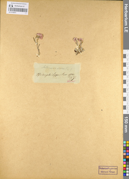 LE 01102573