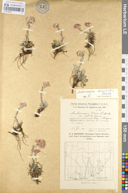 LE 01102575