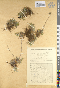 LE 01102594