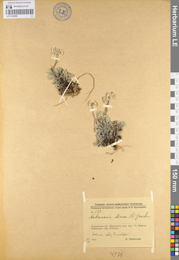 LE 01102606