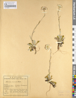 LE 01102612