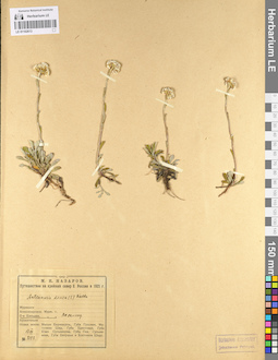 LE 01102613