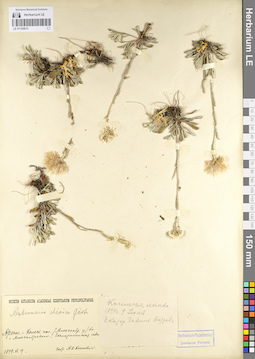 LE 01102615