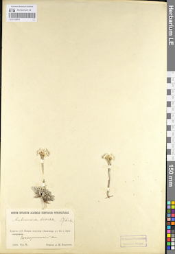 LE 01102618