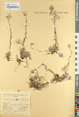 LE 01102619