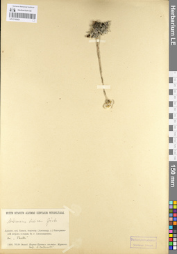 LE 01102621