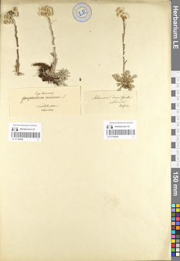 LE 01102648