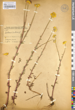 LE 01102908