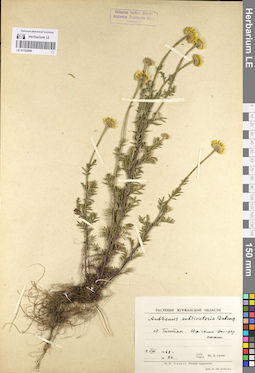 LE 01102909