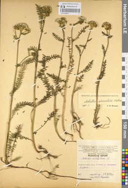 LE 01102914