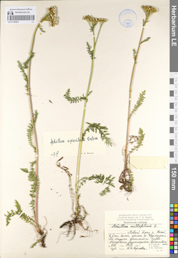 LE 01102923