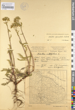 LE 01102924