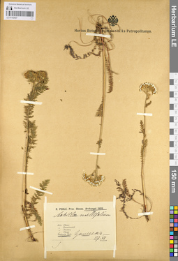 LE 01102927