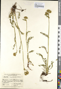 LE 01102928