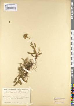 LE 01102932