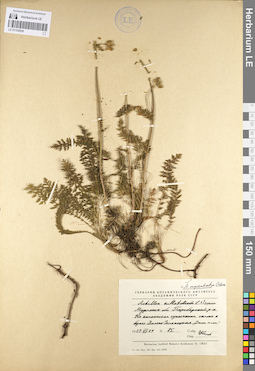 LE 01102939