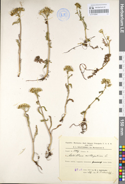 LE 01102942
