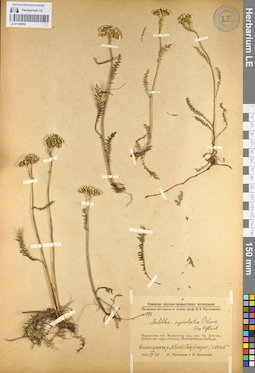 LE 01102952