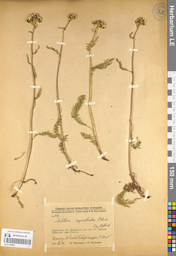 LE 01102953