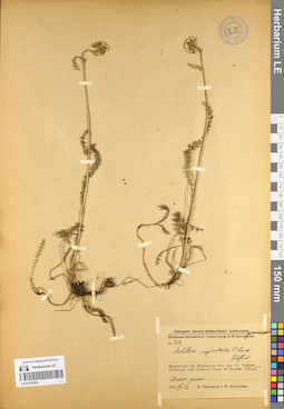 LE 01102954