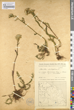 LE 01102961