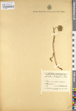 LE 01102969