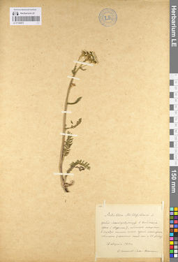 LE 01102972