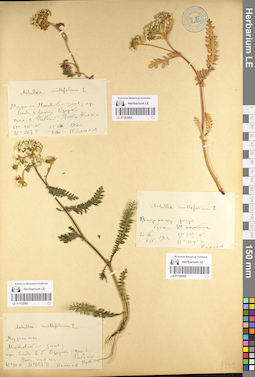 LE 01102985