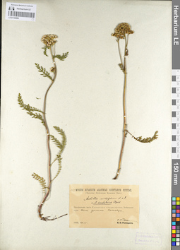 LE 01102994