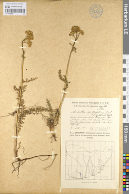 LE 01102996