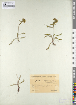 LE 01102997