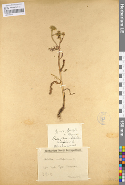 LE 01103022