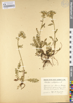 LE 01103023
