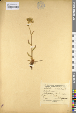 LE 01103027