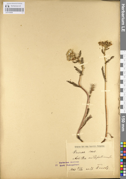 LE 01103030