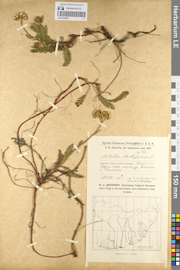 LE 01103031