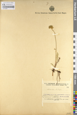 LE 01103038