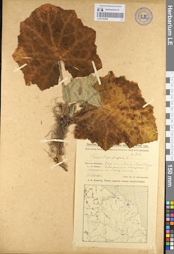 LE 01103358