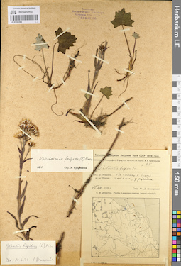 LE 01103399