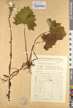 LE 01103428