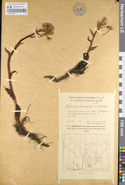 LE 01103434