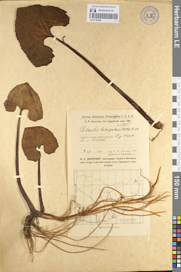 LE 01103438