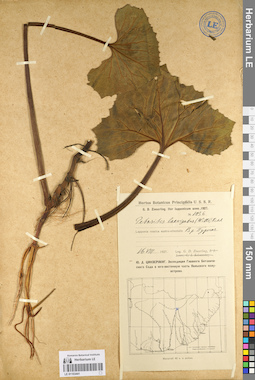 LE 01103441