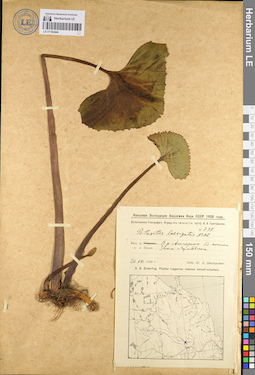 LE 01103444