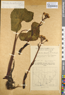 LE 01103454