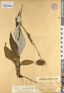 LE 01103881