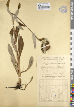 LE 01103912